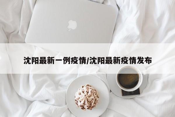 沈阳最新一例疫情/沈阳最新疫情发布
